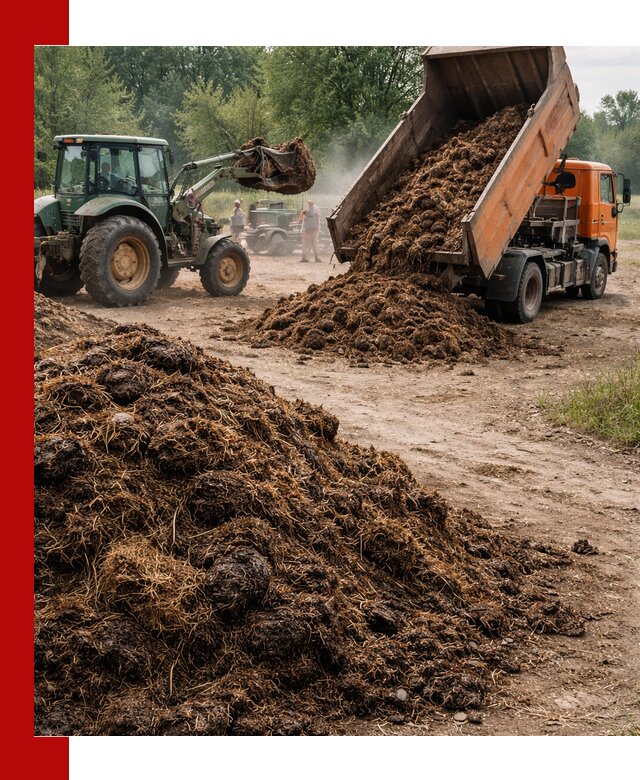 Доставка навоза самосвалами в Саранске для сельхозпотребностей