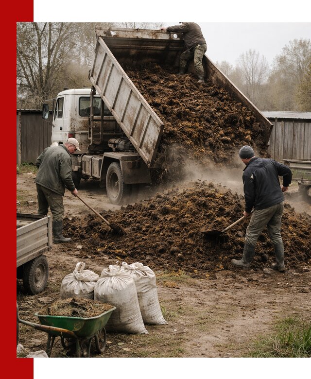 Доставка коровьего навоза самосвалом в Саранске